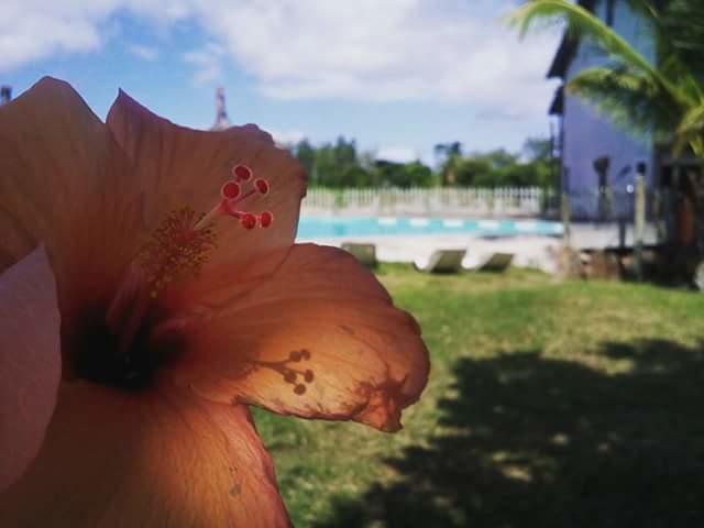 Asso Villa Belle Mare Εξωτερικό φωτογραφία
